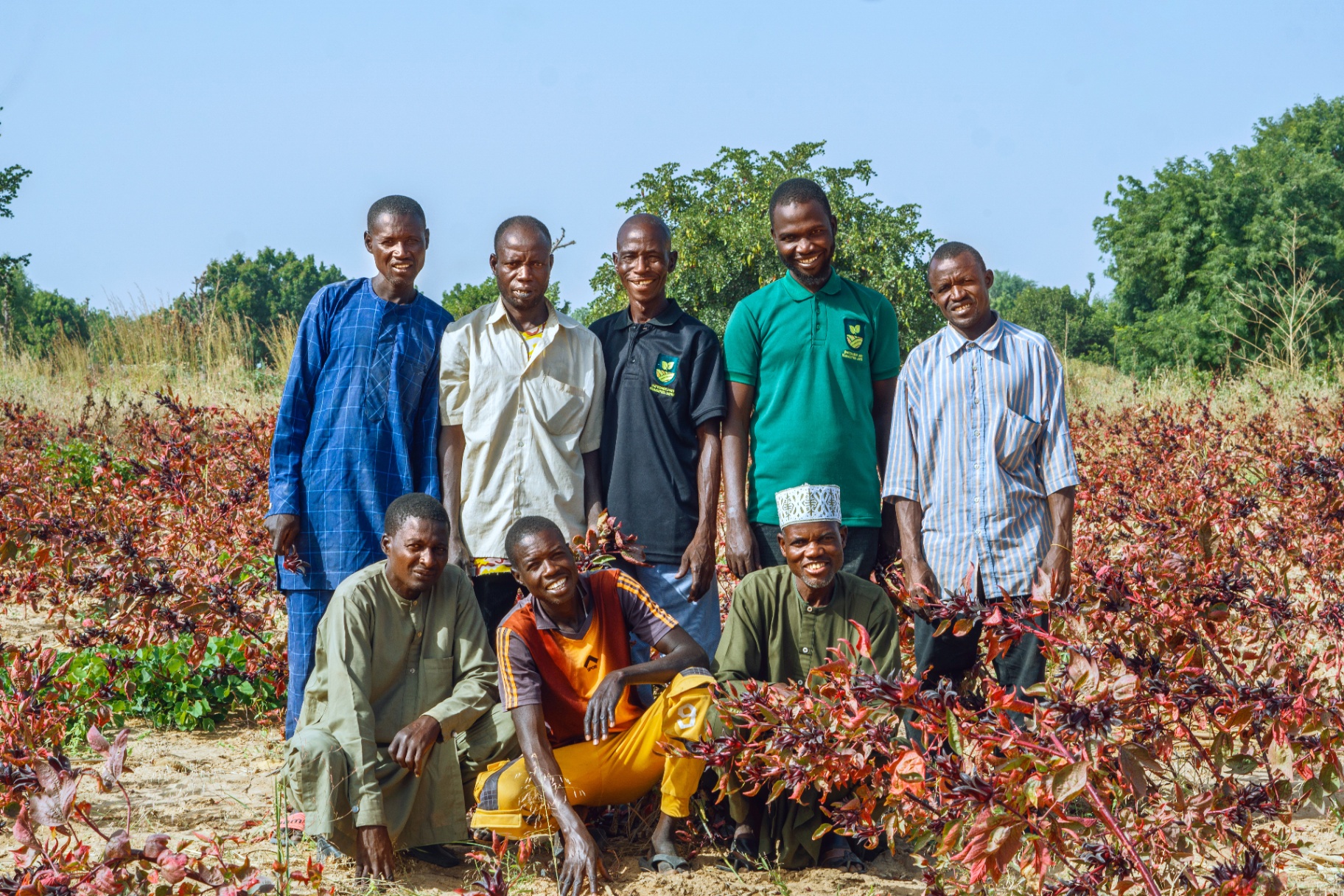 Inside our traceable outgrower model in Northern Nigeria